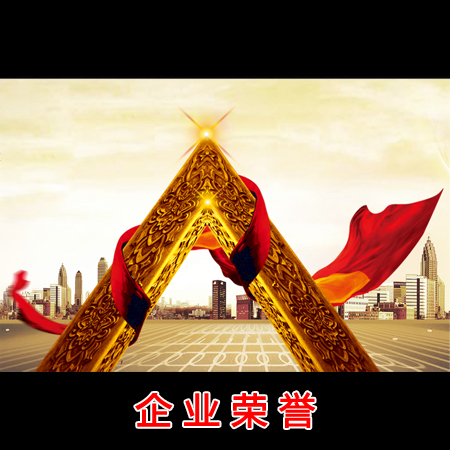 鄄城華魯儀器榮譽(yù)